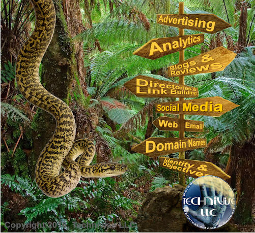 Technivise is your guide to the Internet Jungle